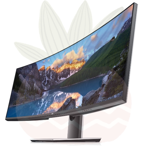 Gaming Monitors